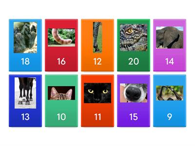 Whose is... ? Whose are...? questions