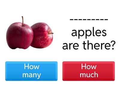 Choose the correct option to complete the following sentences: