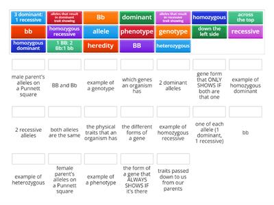 Probability & Heredity