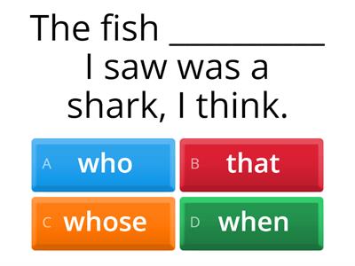 RELATIVE PRONOUNS B1