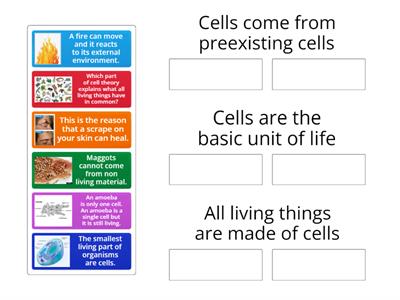 Cell Theory