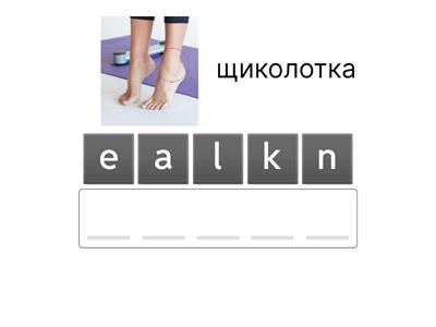 Wider World 2 Unit 6.1