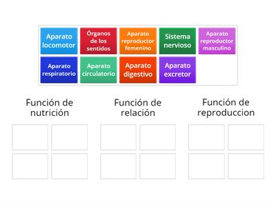 Funciones vitales y sus aparatos y sistemas