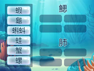 認識水生生物呼吸構造