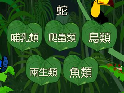 5-動物分類