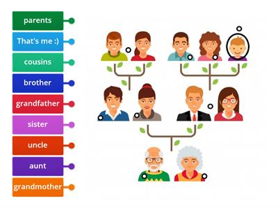 My family tree