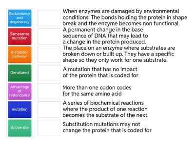 NCEA level 2 Gene Expression mutations and metabolic pathways