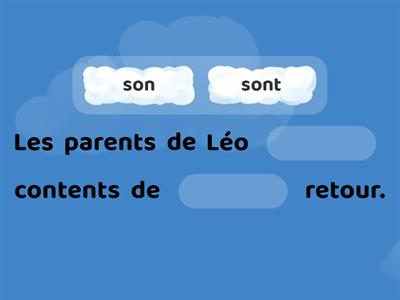  Homophones : son / sont