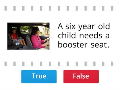 True or False: Car Responsibilities