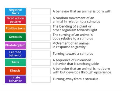 Animal Behavior