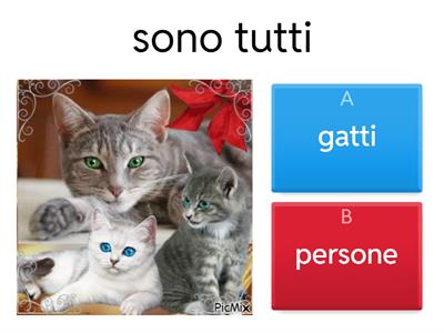 matematica classe prima