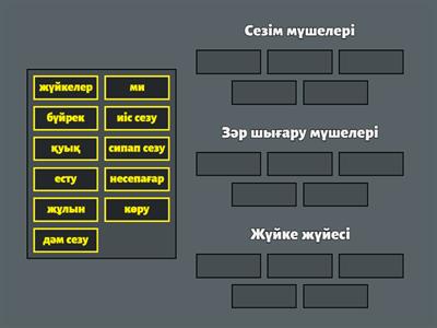 жаратылыстану 4 сынып