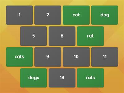 SM1 pets singular- plural