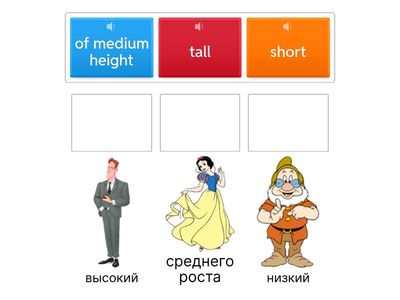 Spt 7 Module 3B (height) appearance