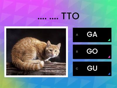 COMPLETA CON GA GO GU