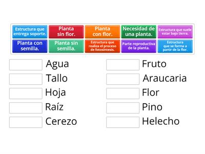 Ciencias Naturales: Las plantas. 