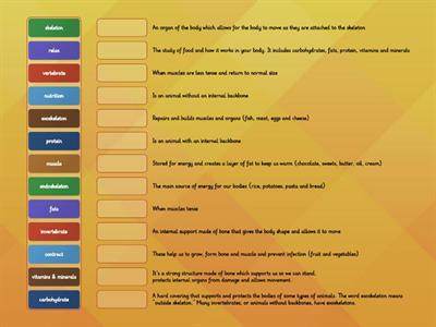 Year 3 Animals Including Humans - Key Vocabulary