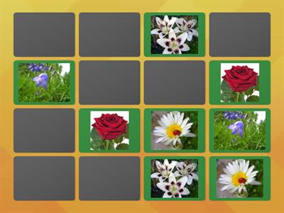 Тренажер памяті