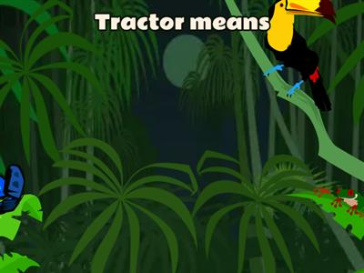 Q3 W6 Latin Root Tract