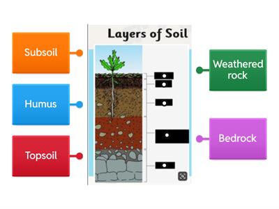Y5 Layers of Soil