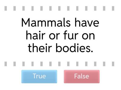 RAZ 3-4 Unit 1 Vertebrates   Mammals 