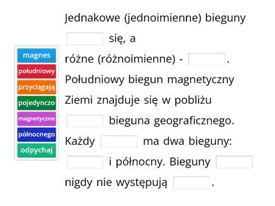 Bieguny magnetyczne