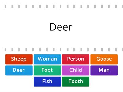 Plural nouns - regular/irregular