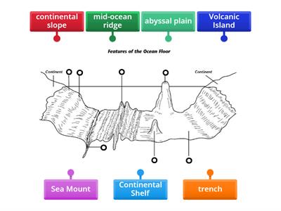 Features of the ocean floor