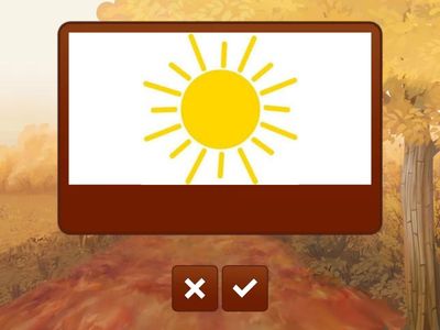 Круг чи коло?