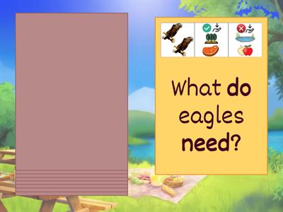 What do crocodiles need?