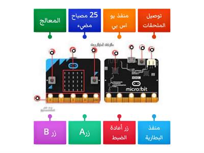 مايكروبت المعلمة اسماء السرور حائل