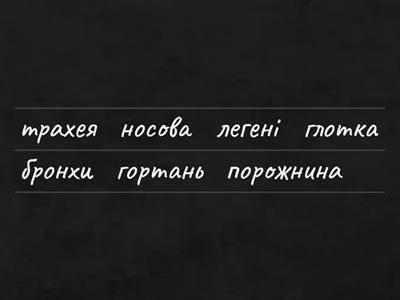 Будова дихальної системи