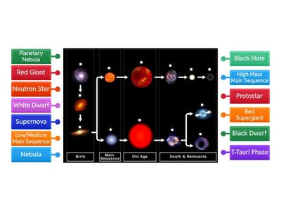 Life Cycle of a Star