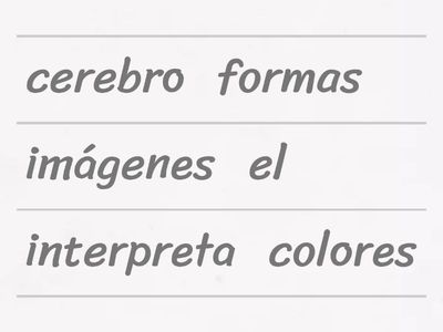 El cerebro y los sentidos. (visual, auditiva, oído,). 