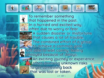 SpongeBob Spatula Catastrophe Vocabulary