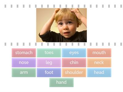 Body parts ESL