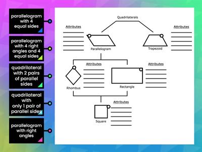 Hierarchy of Quadrilaterals