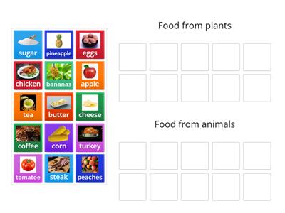 Where does food come from?