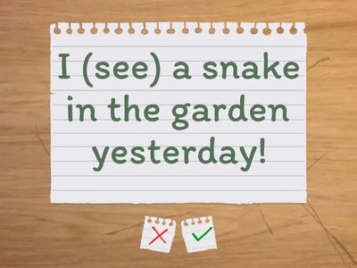 Present Simple / Past Simple 