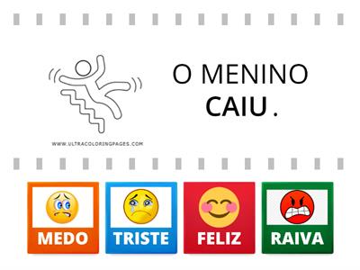  EMOÇÕES