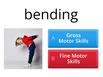 Quiz- Gross and Fine Motor Skills