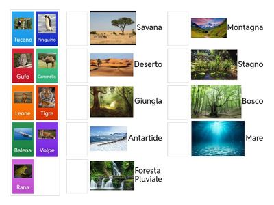 Alla scoperta degli habitat