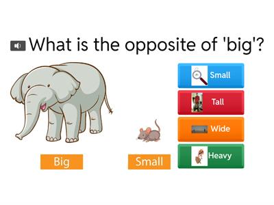 Advanced English Vocabulary for Grade 1
