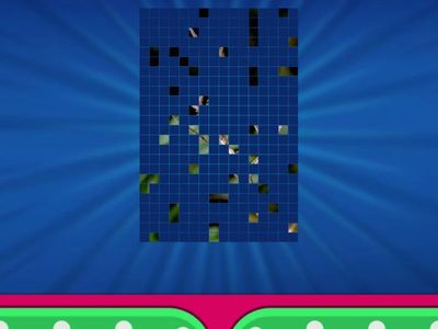 Rainforest (plants, mammals, insects, birts) - picture quiz