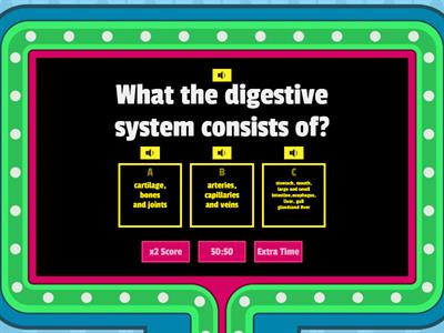  The Digestive System function