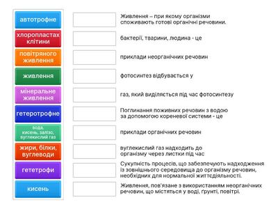 Чому і як живляться організми