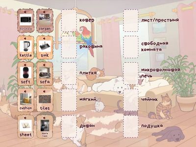 ансар малика жақсыбекова