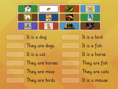 Kid's box 1 Unit 5 Pets Plural