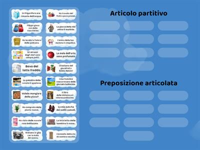 Articolo partitivo e preposizione articolata 