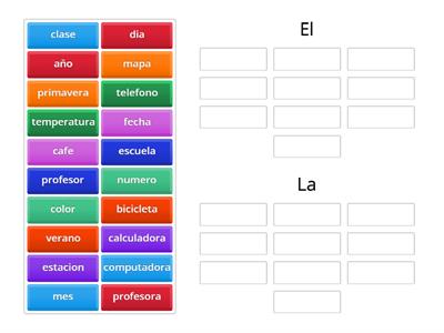 Gender of Nouns in Spanish